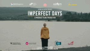 Imperfect Days poster